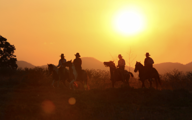 argolinha e cavalgada
