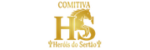 logo do site hs